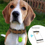 Mini GPS Tracker Keychain for Pets