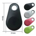 Mini GPS Tracker Keychain for Pets