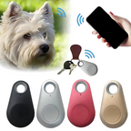 Mini GPS Tracker Keychain for Pets