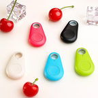 Mini GPS Tracker Keychain for Pets