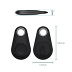 Mini GPS Tracker Keychain for Pets