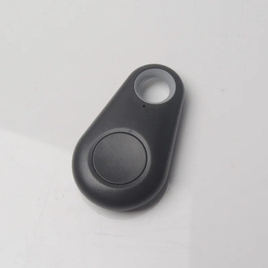 Mini GPS Tracker Keychain for Pets