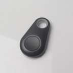 Mini GPS Tracker Keychain for Pets