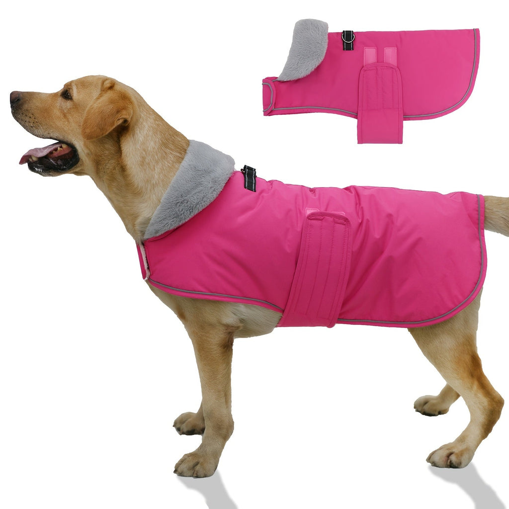 Dog Winter Coat with Fleece Lining