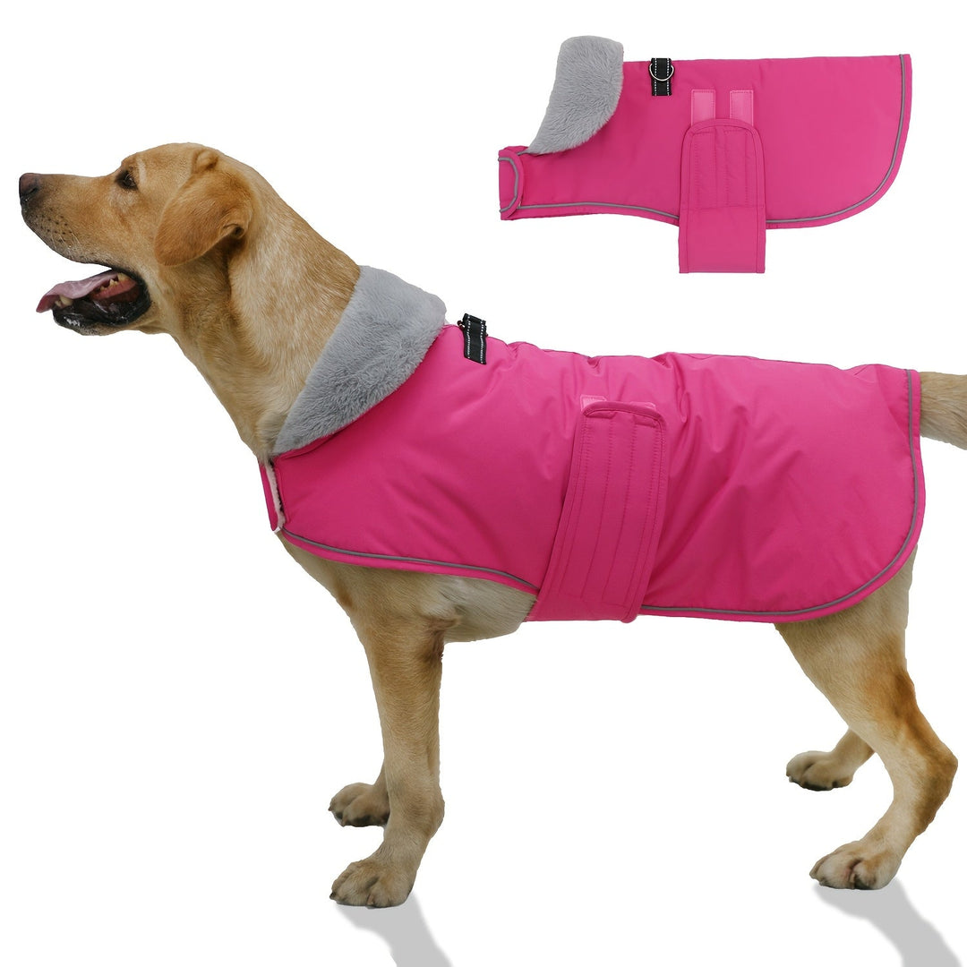 Dog Coat with Warm Lining for Winter