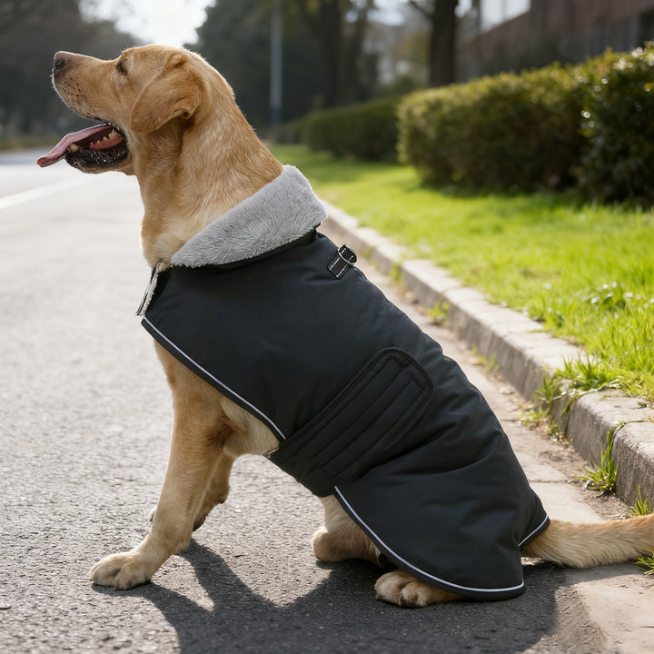 Dog Coat with Warm Lining for Winter