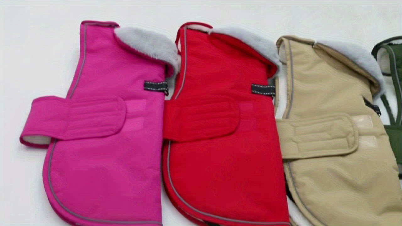 Dog Winter Coat with Fleece Lining