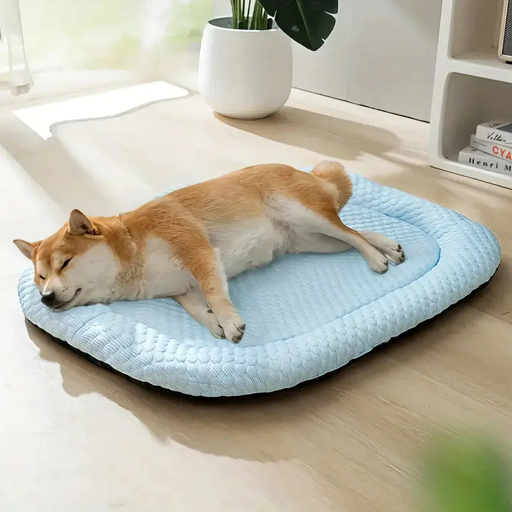 Cooling Dog Bed with Raised Edges Washable Non Slip Pet Mat