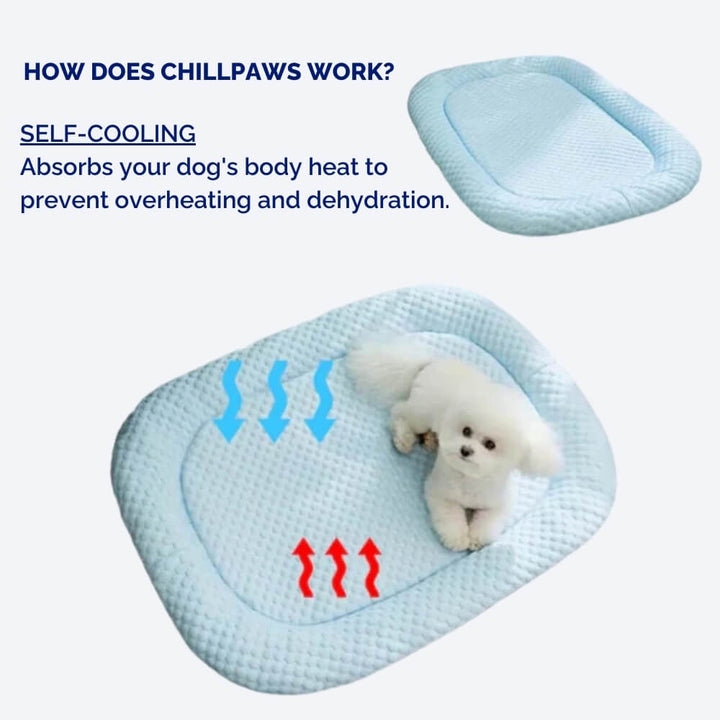 Cooling Dog Bed Temperature Regulation Non-Slip