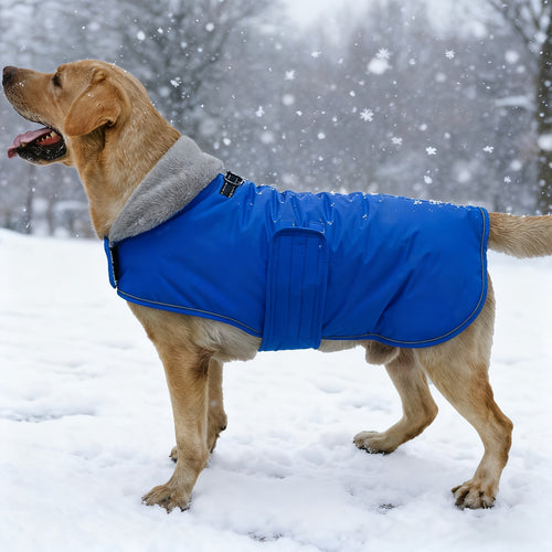 Dog Winter Coat with Fleece Lining
