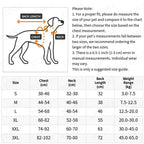 Dog Winter Coat with Fleece Lining